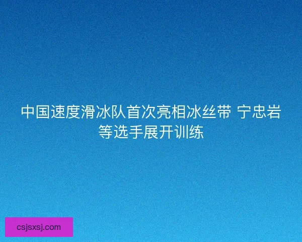 中国速度滑冰队首次亮相冰丝带 宁忠岩等选手展开训练 中国速度滑冰队首次亮相冰丝带 宁忠岩等选手展开训练