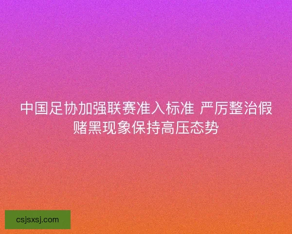 中国足协加强联赛准入标准 严厉整治假赌黑现象保持高压态势